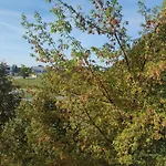 Lejlighed Neringa